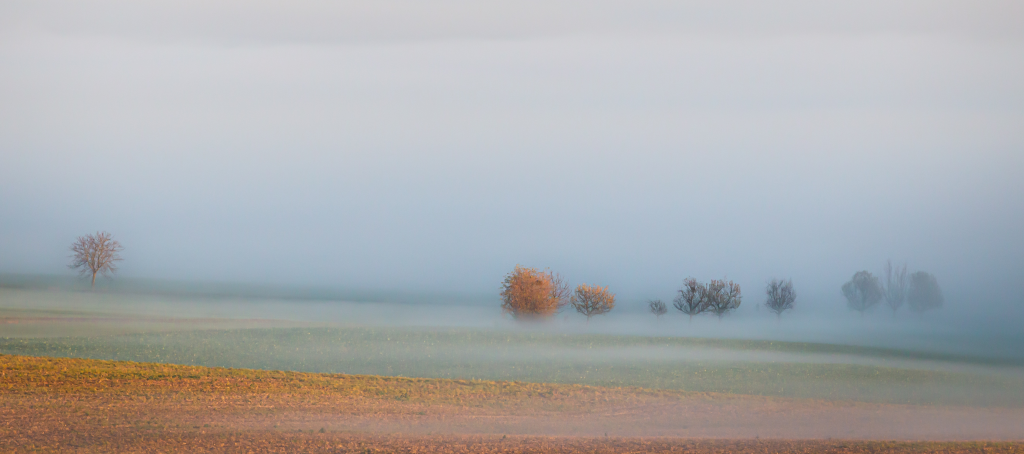 Akkerlandschap in de mist