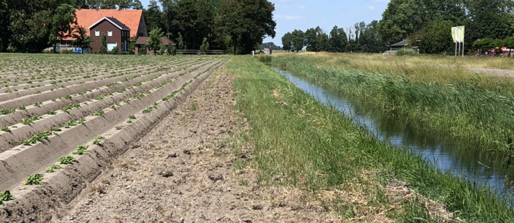 Teeltvrije zone en bufferstrook, foto van waterschap Zuiderzeeland